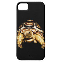 leopard tortoise iPhone 5 cover