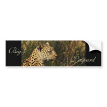 Leopard wild animal bumper stickers (big 5 cats)