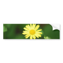 Leopards Bane Flowers bumper Stickers