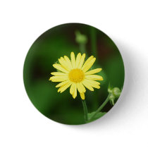 Leopards Bane Flowers Button