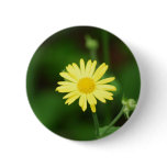 Leopards Bane Flowers Button