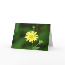 Leopards Bane Flowers Greeting Cards