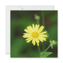 Leopards Bane Flowers  Invitations