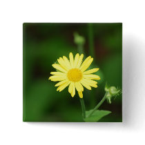 Leopards Bane Flowers Pin