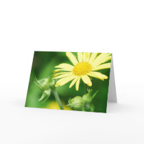Leopard's Bane Greeting Card
