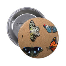 Lepidopterist - My Butterfly Collection Buttons