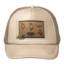 Lepidopterist - My Butterfly Collection Trucker Hat