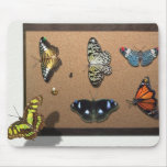 Lepidopterist - My Butterfly Collection Mouse Mat