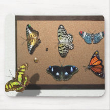 Lepidopterist - My Butterfly Collection Mouse Mat