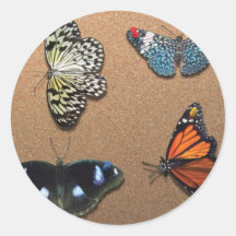 Lepidopterist - My Butterfly Collection Round Sticker