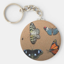 Lépidoptériste - ma collection de papillon porte-clef