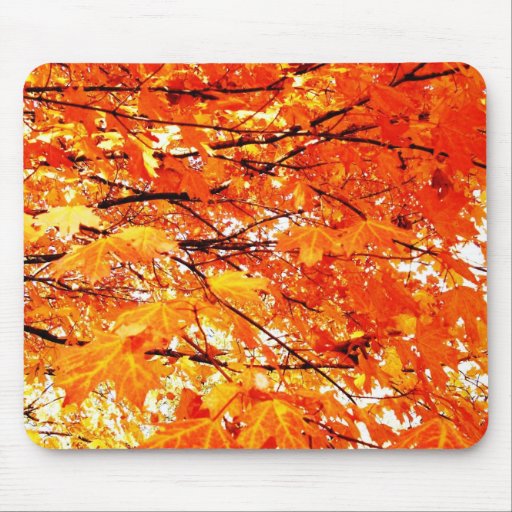 L'érable d'automne part de Mousepad Tapis De Souris