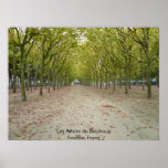 Les Arbres du Bordeaux Poster