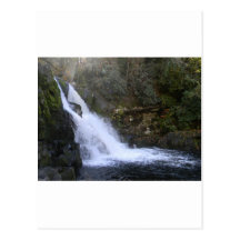 Les automnes Great Smoky Mountains d'Abram Carte Postale