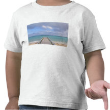 Les BAHAMAS, île de Bahama grande, côté oriental : T-shirts