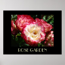 Les BEAUX-ARTS de ROSERAIE IMPRIMENT le jardin pri Affiches