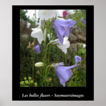 Les Belles Fleurs Poster