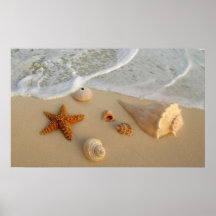 Les cadeaux de Neptune (coquilles) Posters