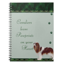 Les cavaliers Pawrints sur votre carnet de coeur ~