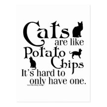 Les chats sont comme des pommes chips… carte postale