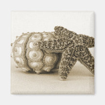 Les couples impairs magnets