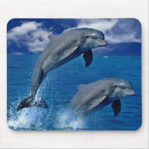 Les dauphins sautant pour la joie sur un tapis de 