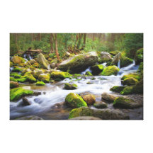 Les eaux douces toiles tendues sur châssis