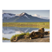 Les Etats-Unis, Alaska, parc national de Katmai, o Photographie D’art