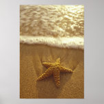 Les Etats-Unis, Hawaï, Maui, Maui, Kihei, étoile d Poster