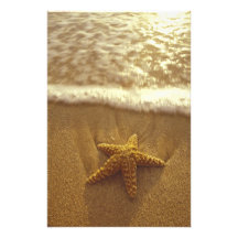 Les Etats-Unis, Hawaï, Maui, Maui, Kihei, étoile d Photo