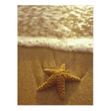 Les Etats-Unis, Hawaï, Maui, Maui, Kihei, étoile d Cartes Postales