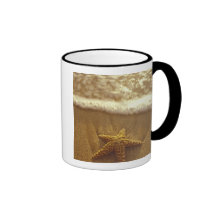 Les Etats-Unis, Hawaï, Maui, Maui, Kihei, étoile d Tasse