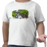 Les Etats-Unis, Orégon, gorge du fleuve Columbia,  T-shirt