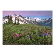 Les Etats-Unis, Washington, montagnes de cascade,  Photographies D’art