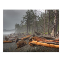 Les Etats-Unis, Washington, parc national olympiqu Cartes Postales