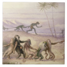 Les façons et les coutumes des singes carreaux