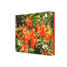 Les fleurs florales oranges ont enveloppé la toile impression sur toile