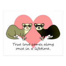 Les furets mignons rectifient l'amour carte postale