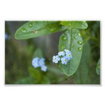 Les gouttes de pluie maintiennent tomber dans lumi impressions photographiques