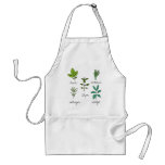 Les herbes aprons