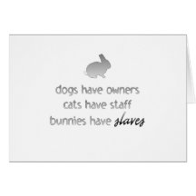 Les lapins ont des esclaves cartes