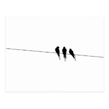 Les merles silhouettent sur le fil cartes postales