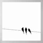 Les merles silhouettent sur le fil posters