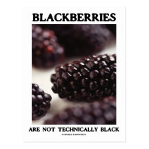 Les mûres ne sont pas noir de Techically (l'humour Cartes Postales
