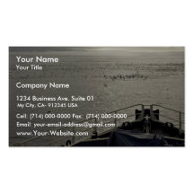 Les oiseaux marins outre de Tiglax cintrent près d Carte De Visite
