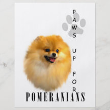 Les pattes de Pomeranian lèvent des insectes Prospectus