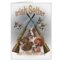 Les poseurs irlandais ne peuvent pas avoir juste u cartes de vœux