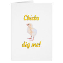 Les poussins me creusent carte