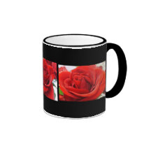Les roses d'Andrea Tasse