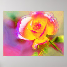 Les roses du grand-papa affiches
